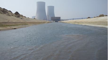 nellore11
